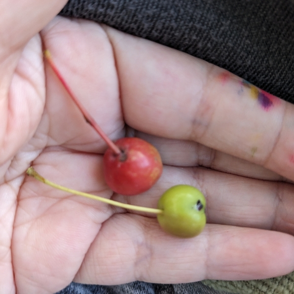 Manifesting Magic! 🔮💖❤️🫶✨💜🫧 - Picture 15 of 16